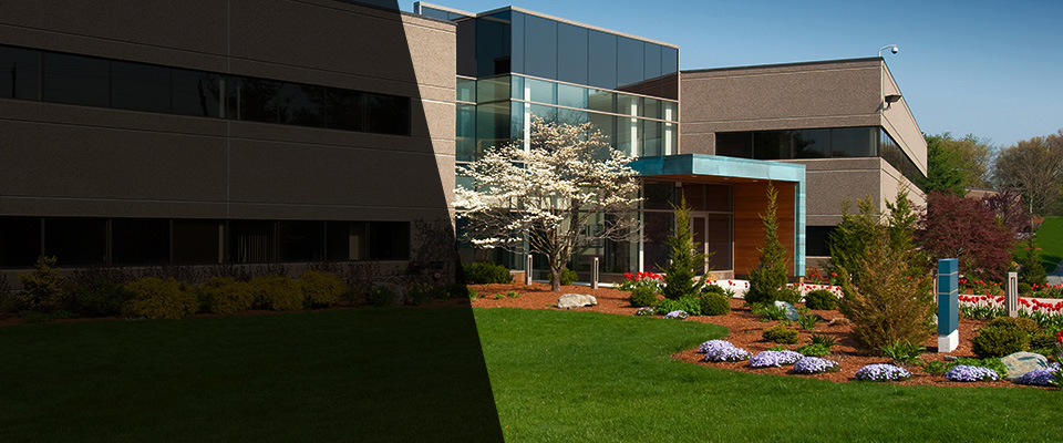 Rayland Landscapers