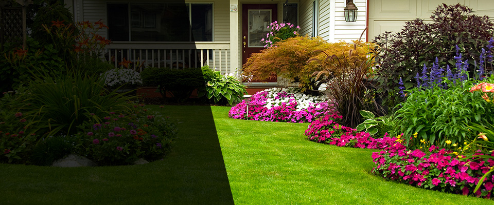 Rayland Landscapers