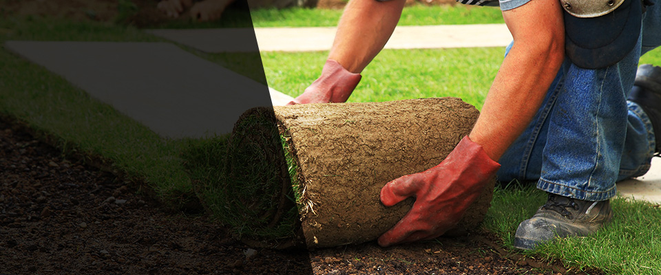 Rayland Landscapers